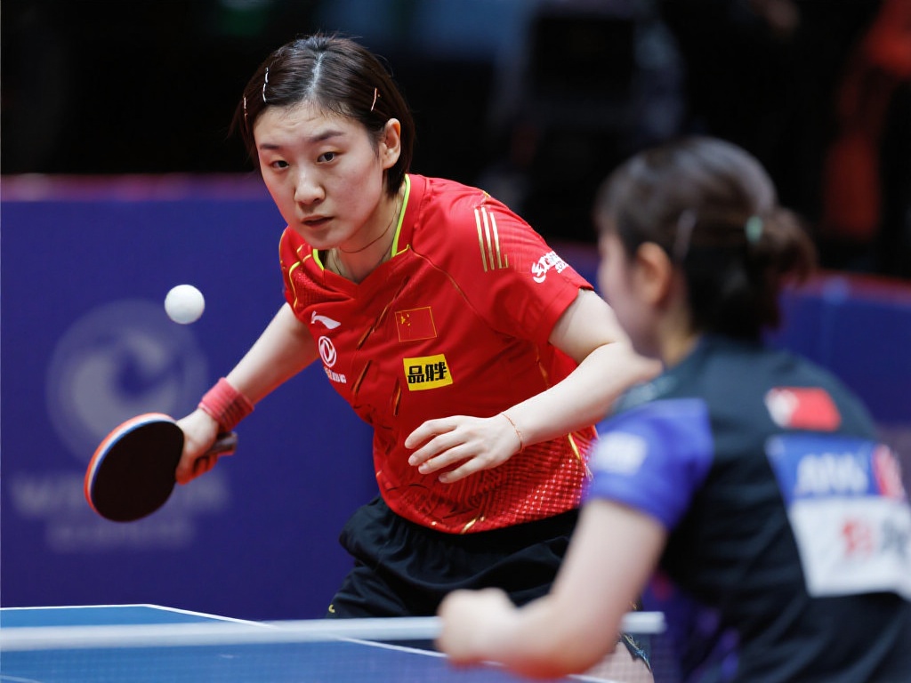 本届足协杯 本届足协杯